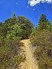 photo thumbnail #3