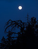 photo thumbnail #10