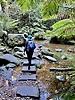 photo thumbnail #4