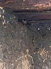 photo thumbnail #13