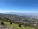 photo thumbnail #2