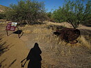 photo thumbnail #13