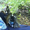 photo thumbnail #9
