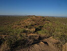 photo thumbnail #5