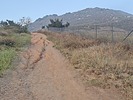 photo thumbnail #1