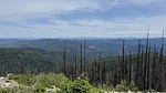 photo thumbnail #13
