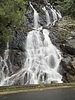 photo thumbnail #15