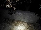 photo thumbnail #5