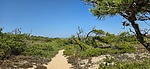 photo thumbnail #6