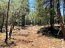 photo thumbnail #14