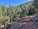 photo thumbnail #3