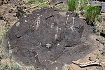 recent photo