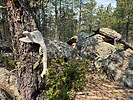 photo thumbnail #12