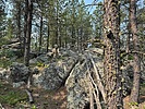 photo thumbnail #14