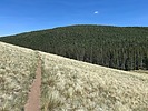 photo thumbnail #9