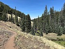 photo thumbnail #12