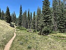 photo thumbnail #13