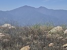 photo thumbnail #8