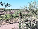 photo thumbnail #11