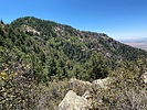 photo thumbnail #11