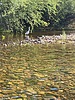 2025-06-23 :: Lower Salt River - Waterusers to PhonD :: DesertNymph