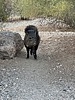photo thumbnail #9