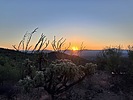 photo thumbnail #2