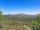 2025-06-25 :1: Wolverton Mountain Trail #9415 :: kingsnake