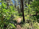 photo thumbnail #10