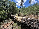 photo of comment
