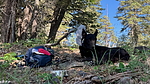 photo thumbnail #6