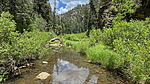 photo thumbnail #5