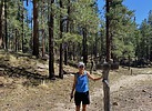 photo thumbnail #3
