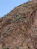 2025-06-30 :2: Canyon Lake Kayaking :: DesertNymph