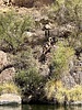 2025-06-30 :2: Canyon Lake Kayaking :: DesertNymph