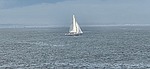 photo thumbnail #12