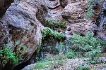 photo thumbnail #15