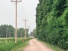 photo thumbnail #11