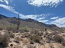 photo thumbnail #3