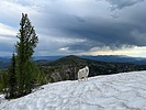 photo of comment