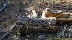 photo thumbnail #3