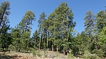 photo thumbnail #12