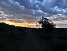photo thumbnail #2