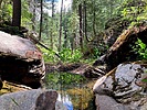 photo thumbnail #8
