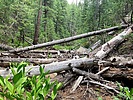 photo thumbnail #13