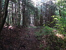 photo thumbnail #9