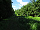 photo thumbnail #11