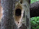 photo thumbnail #15