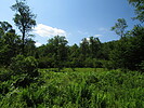 photo thumbnail #11