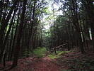 photo thumbnail #13